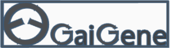 Gif